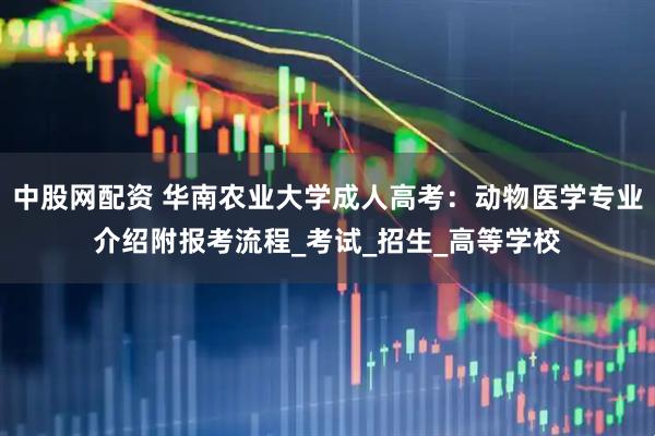 中股网配资 华南农业大学成人高考：动物医学专业介绍附报考流程_考试_招生_高等学校